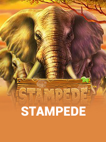 Cara Akses Stampede dengan Mudah dan Aman — ikon game